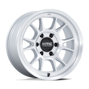 TSW   Gloss Silver